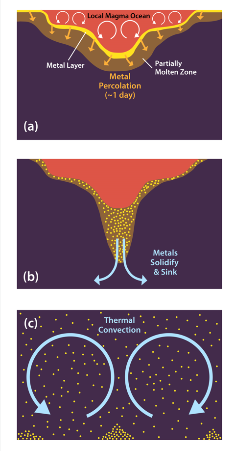 Three diagrams showing how, after s giant impact, liquid metals sink through the resulting magma ocean, until they reach a partially molten transitional layer. As the magma solidifies, convection mixes and redistributes the precious metals in the mantle.