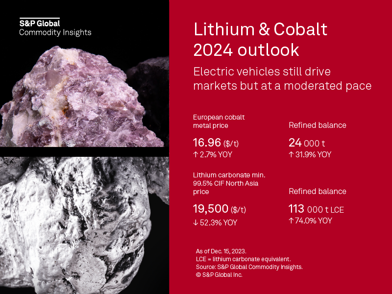 Lithium & Cobalt 2024 Outlook