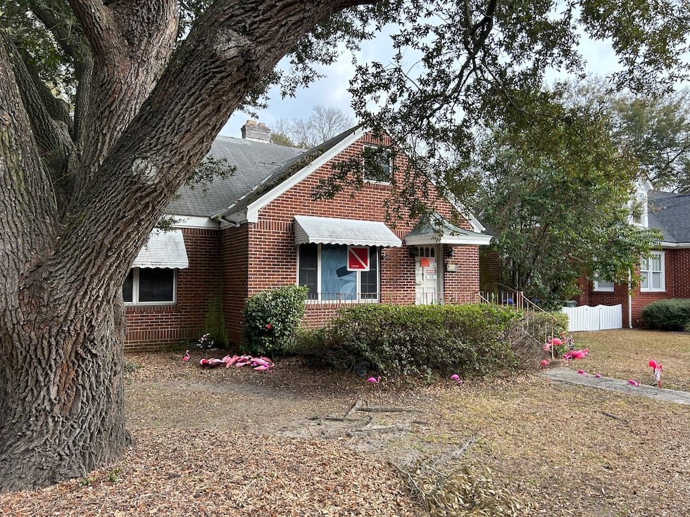 Dr. James Wisner has taken to placing pink flamingos around a vacant property he owns as a way...