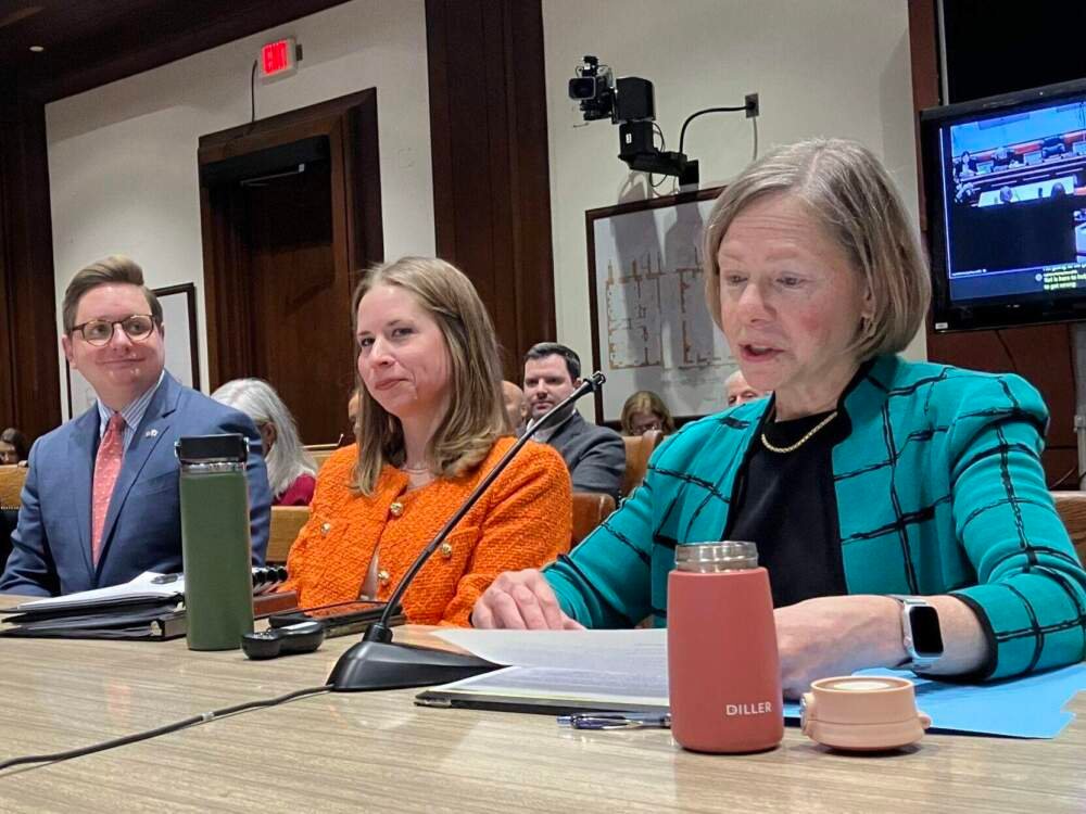 Mary Beckman, of the Executive Office of Health and Human Services; Torey McNamara, of Department of Public Health; and David Seltz, of the Massachusetts Health Policy Commission testify during a hearing on private equity on Monday, March 25. (Alison Kuznitz/SHNS) 