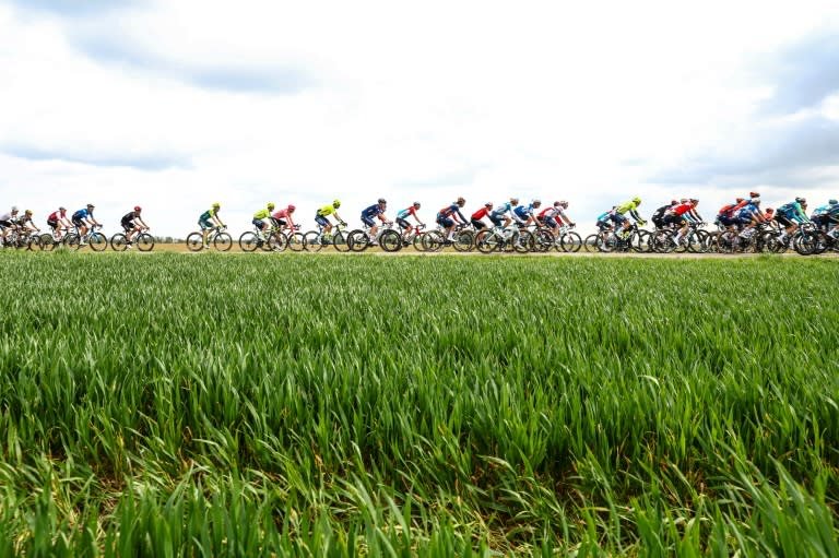 Tom Pidcock won the 58th edition of the Amstel Gold Race (Vincent Jannink)