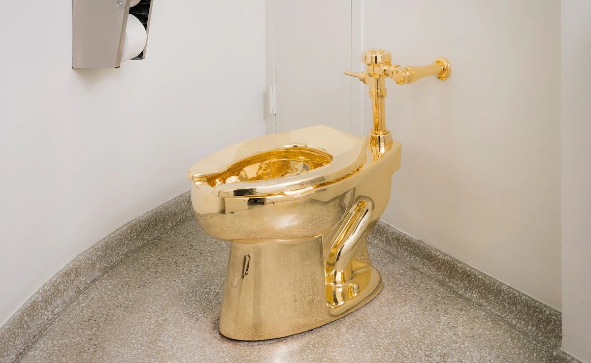 UK Man Pleads Guilty To Theft Of Gold Toilet Worth Rs 50 Crore