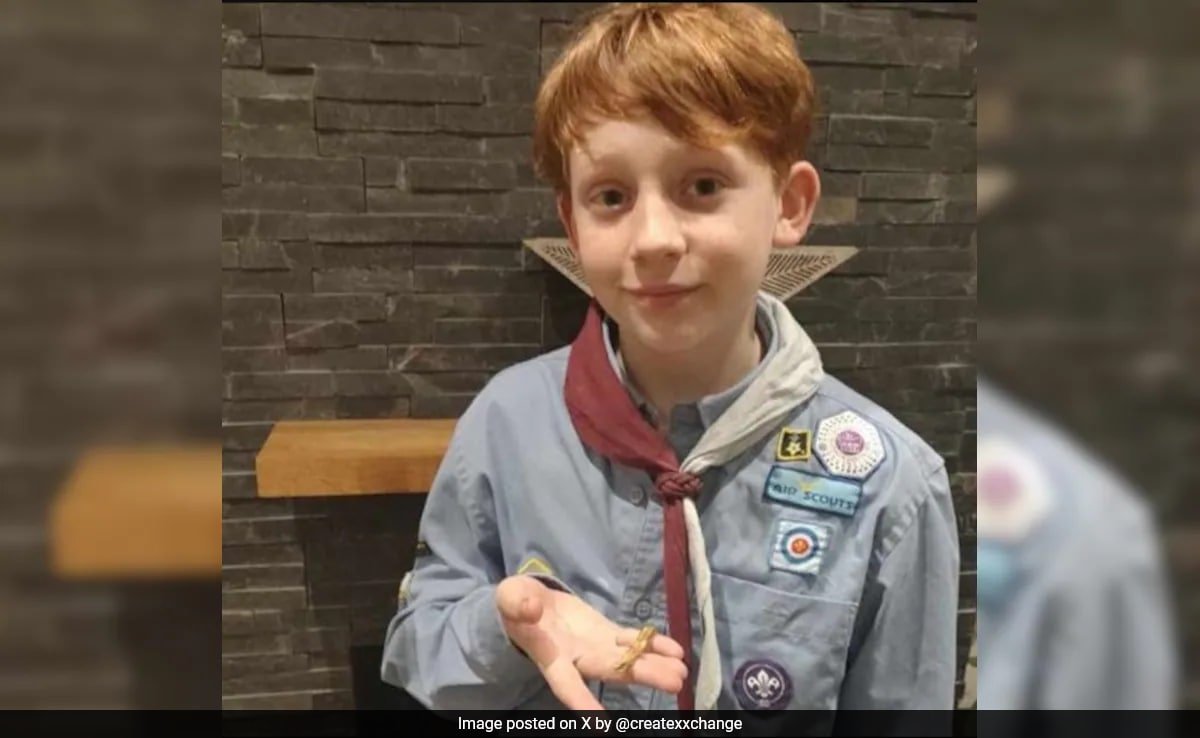 UK Boy Finds Rare 2,000-Year-Old Gold Bracelet While Walking His Dog