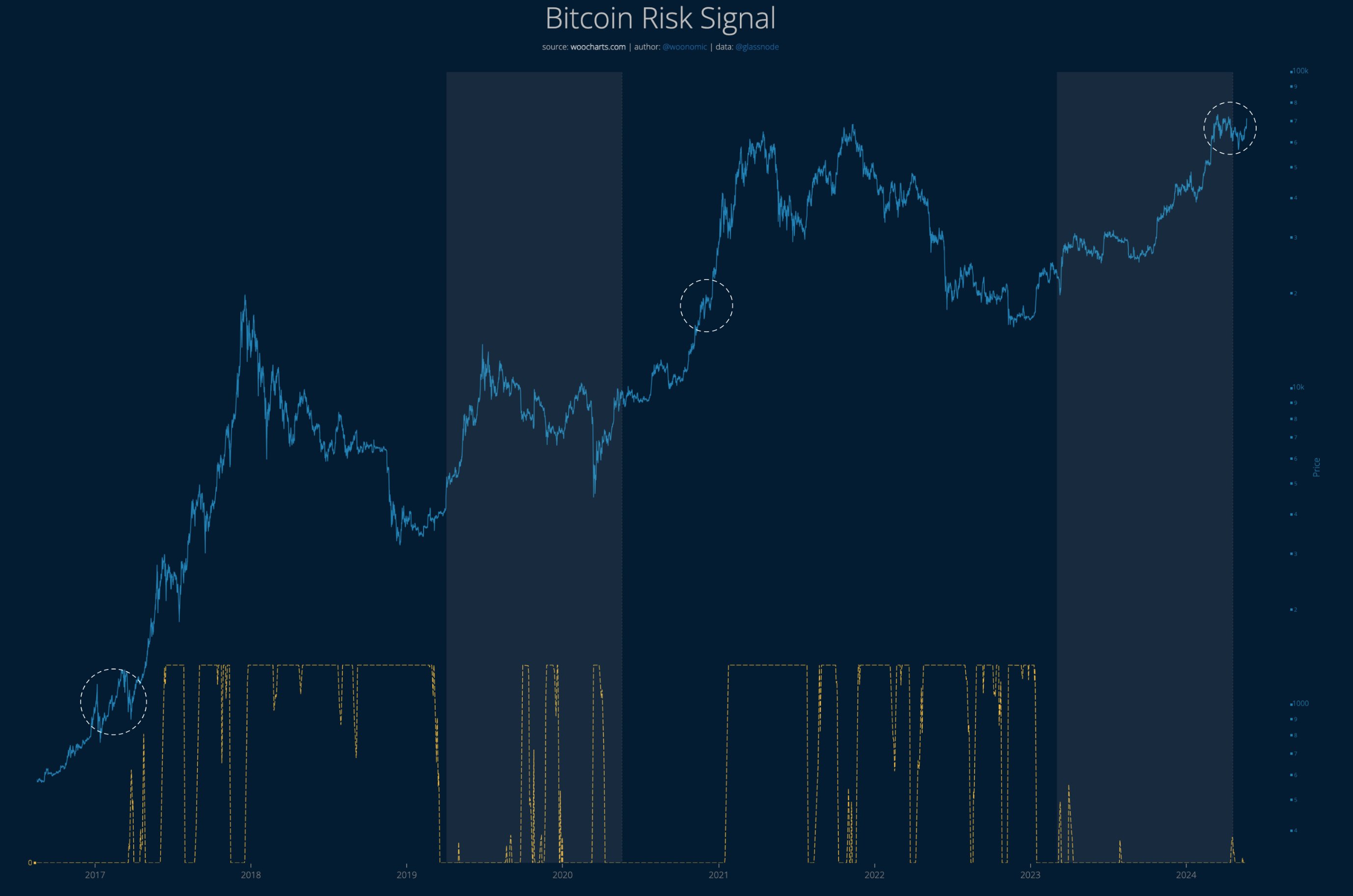 Bitcoin Risk Signal