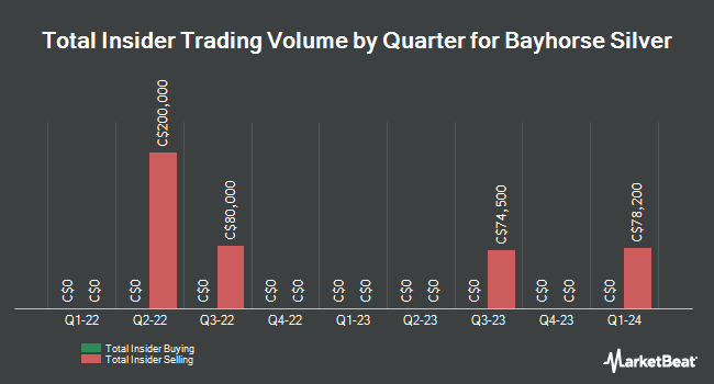 Insider Buying and Selling by Quarter for Bayhorse Silver (CVE:BHS)