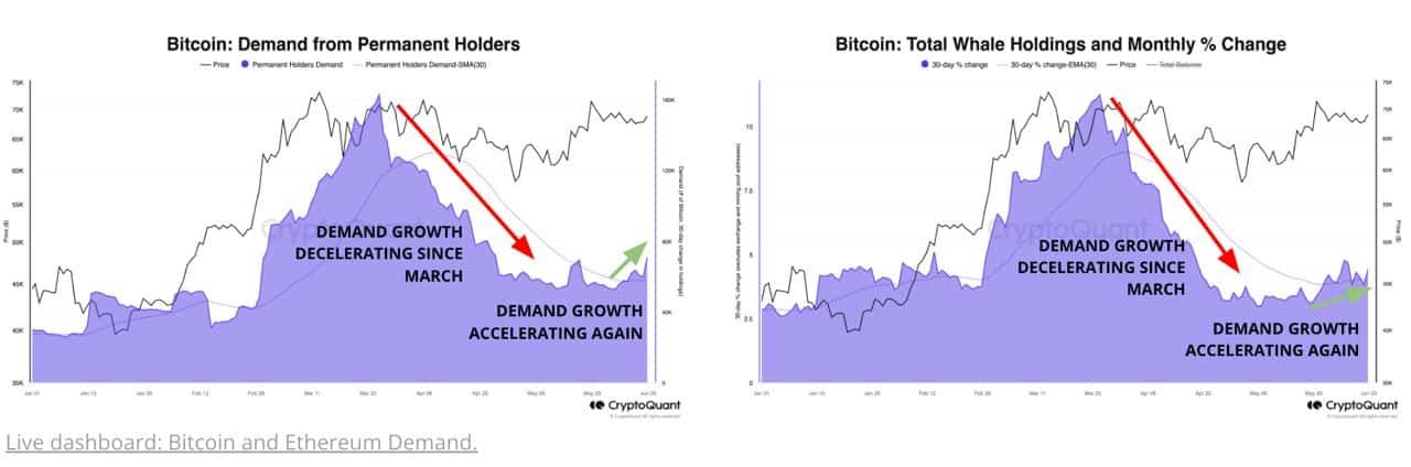 Bitcoin hodling chart