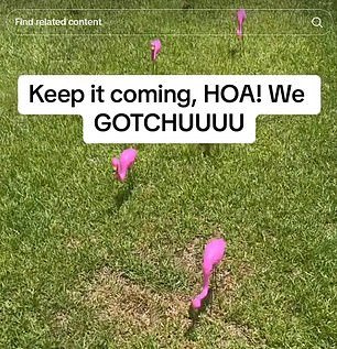 As does a flock of 10 plastic flamingos