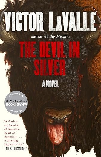 The Devil in Silver book cover