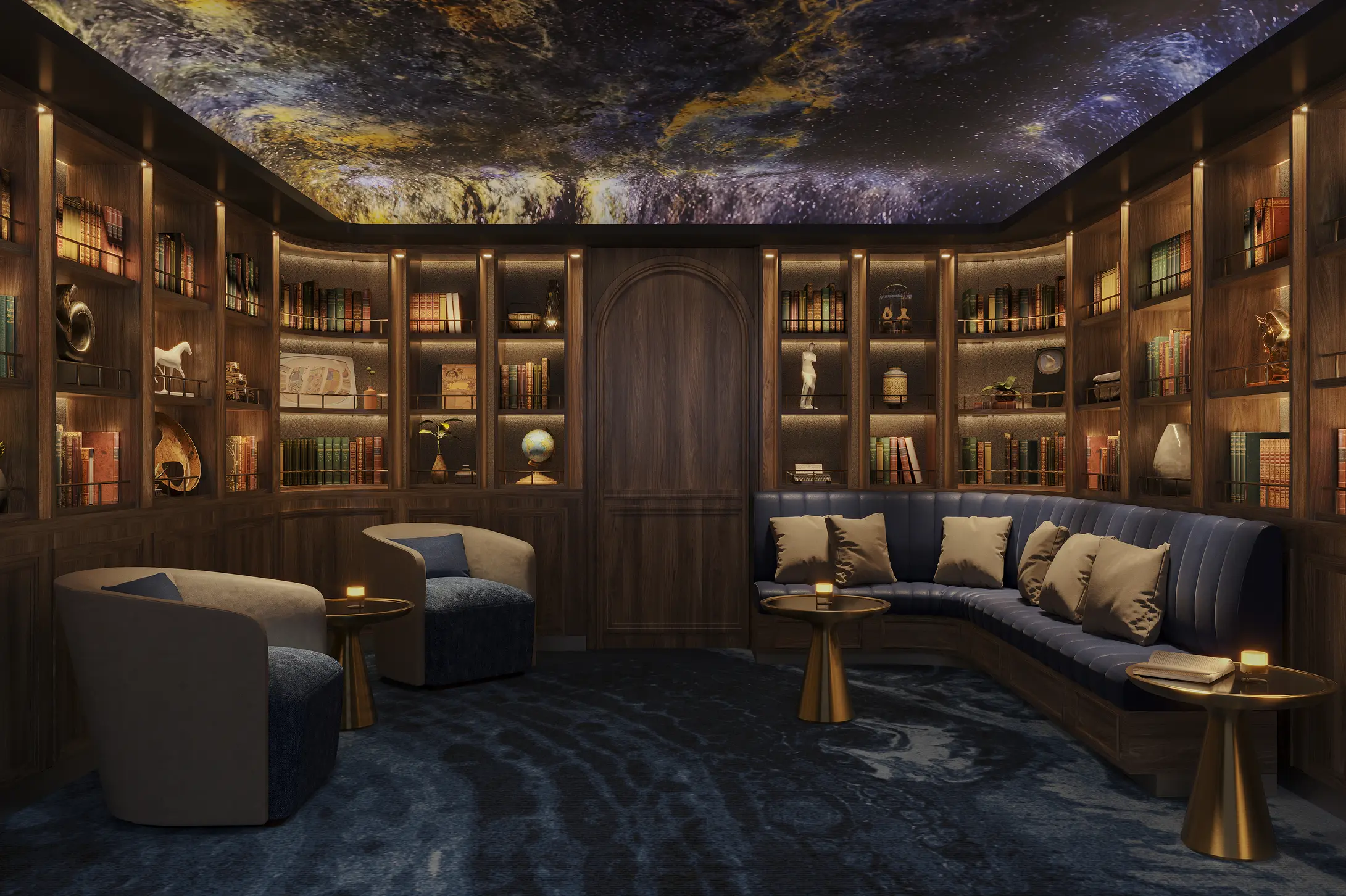 The library on board Silver Ray.