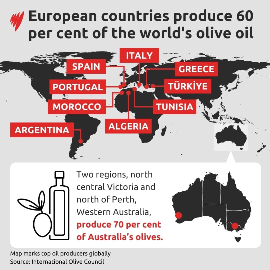 A map showing the world's top oil producers annually. Agrentina, Morocco, Portugal, Spain, Italy, Greece, Türkiye, Tunisia and Algeria are listed.