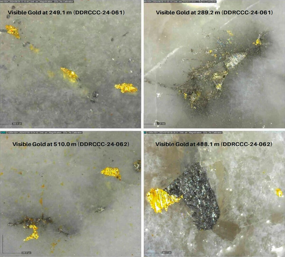 Close%2Dup%20of%20visible%20gold%20in%20drill%20cores%20at%20various%20depths%20from%20RC%20Gold%20project%2E