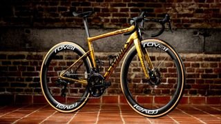 Remco Evenepoels Gold Tarmac SL8