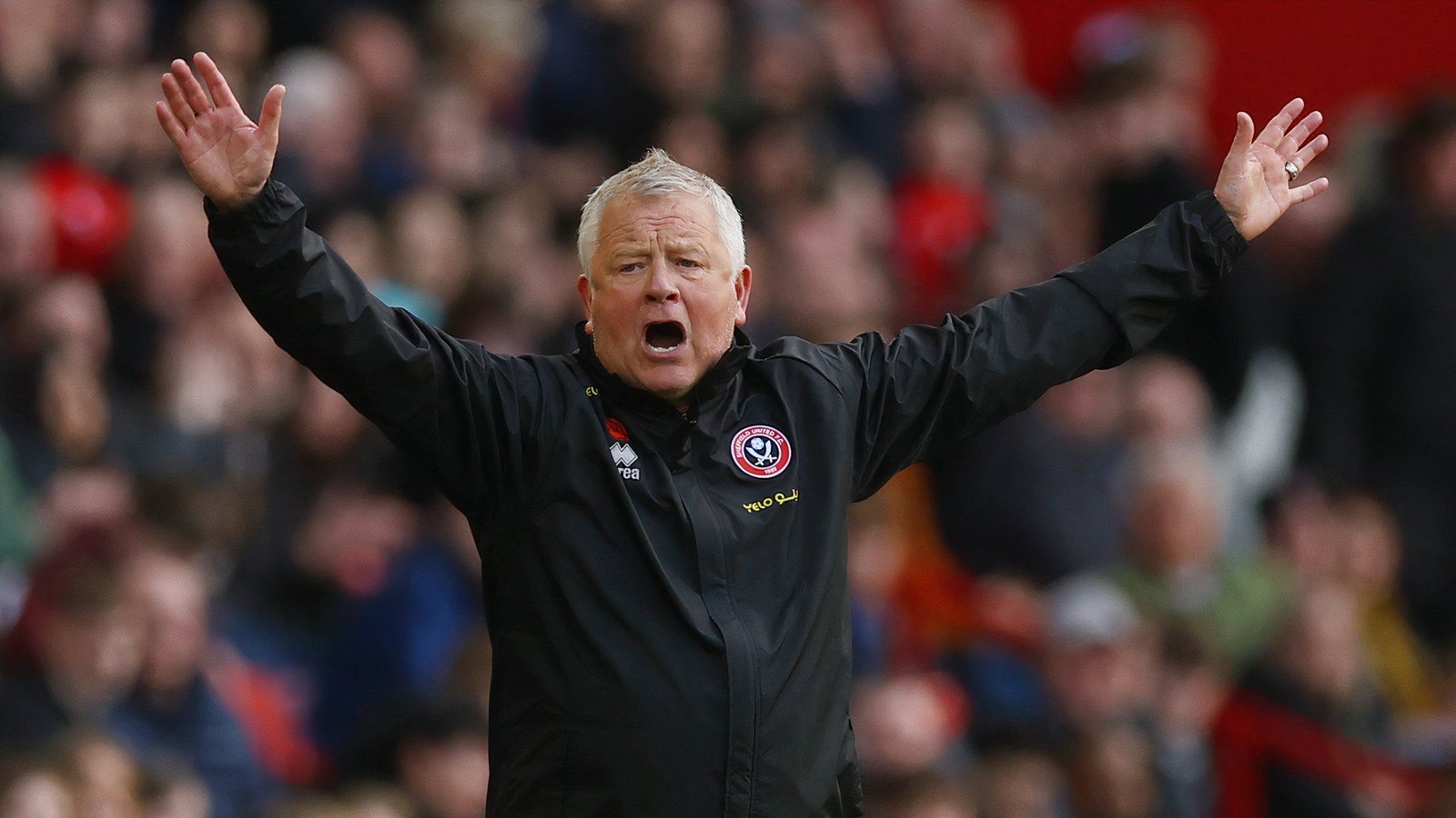 Chris Wilder Sheffield United