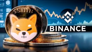 Binance Moves 137 Billion Shiba Inu (SHIB): Details