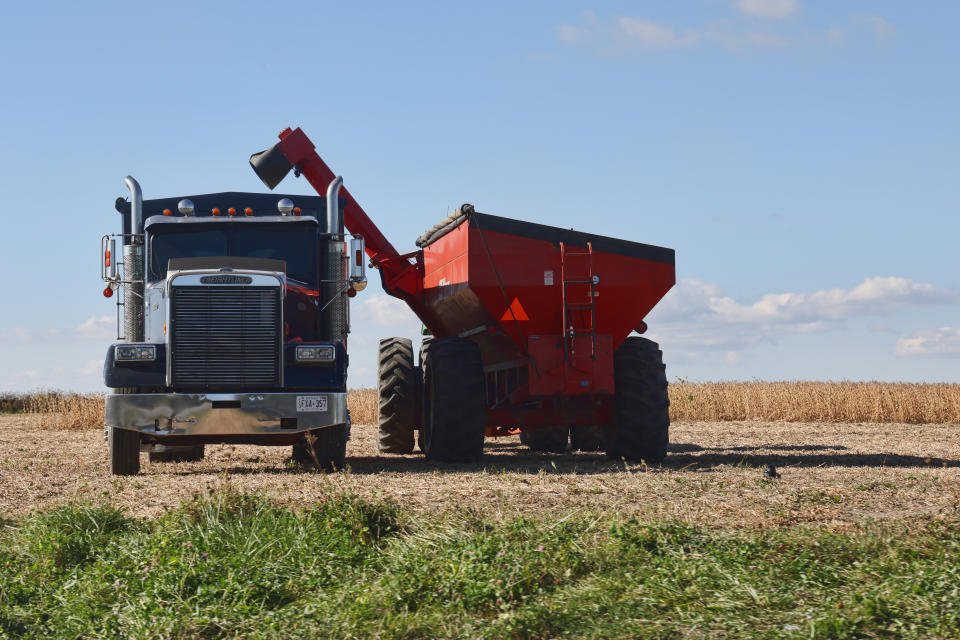 A farmer harvests soybeans in Markham, Ontario, Canada, on September 30, 2024. (Photo by Creative Touch Imaging Ltd./NurPhoto via Getty Images)