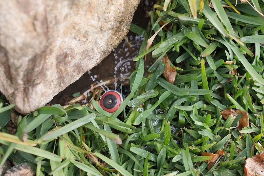 A sprinkler sprays a very small amount of water. 