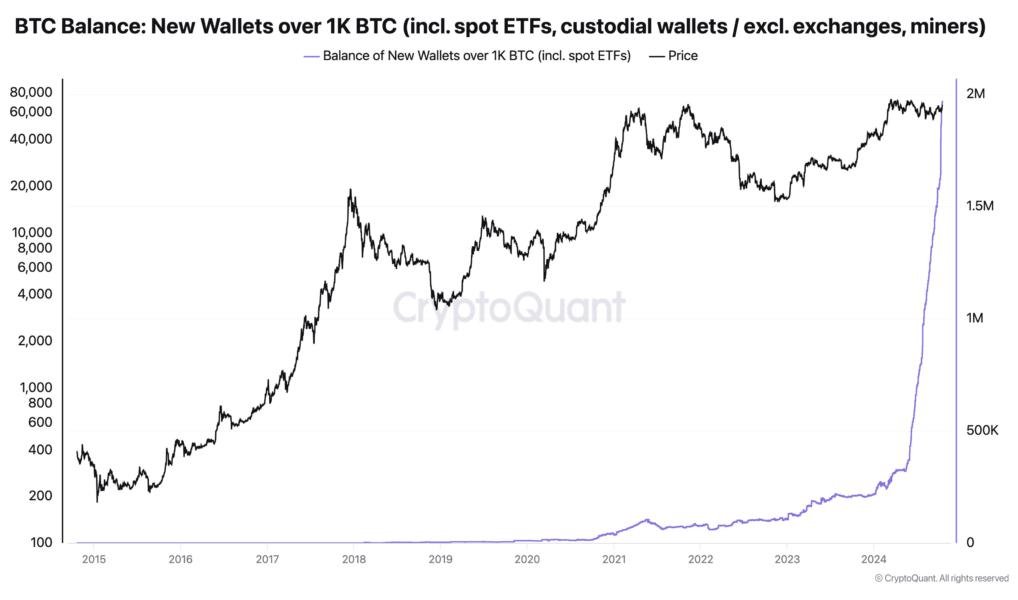 Bitcoin Price, Bitcoin Analysis, Markets, Whale