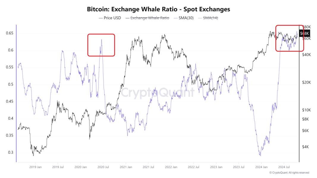 Bitcoin Price, Bitcoin Analysis, Markets, Whale